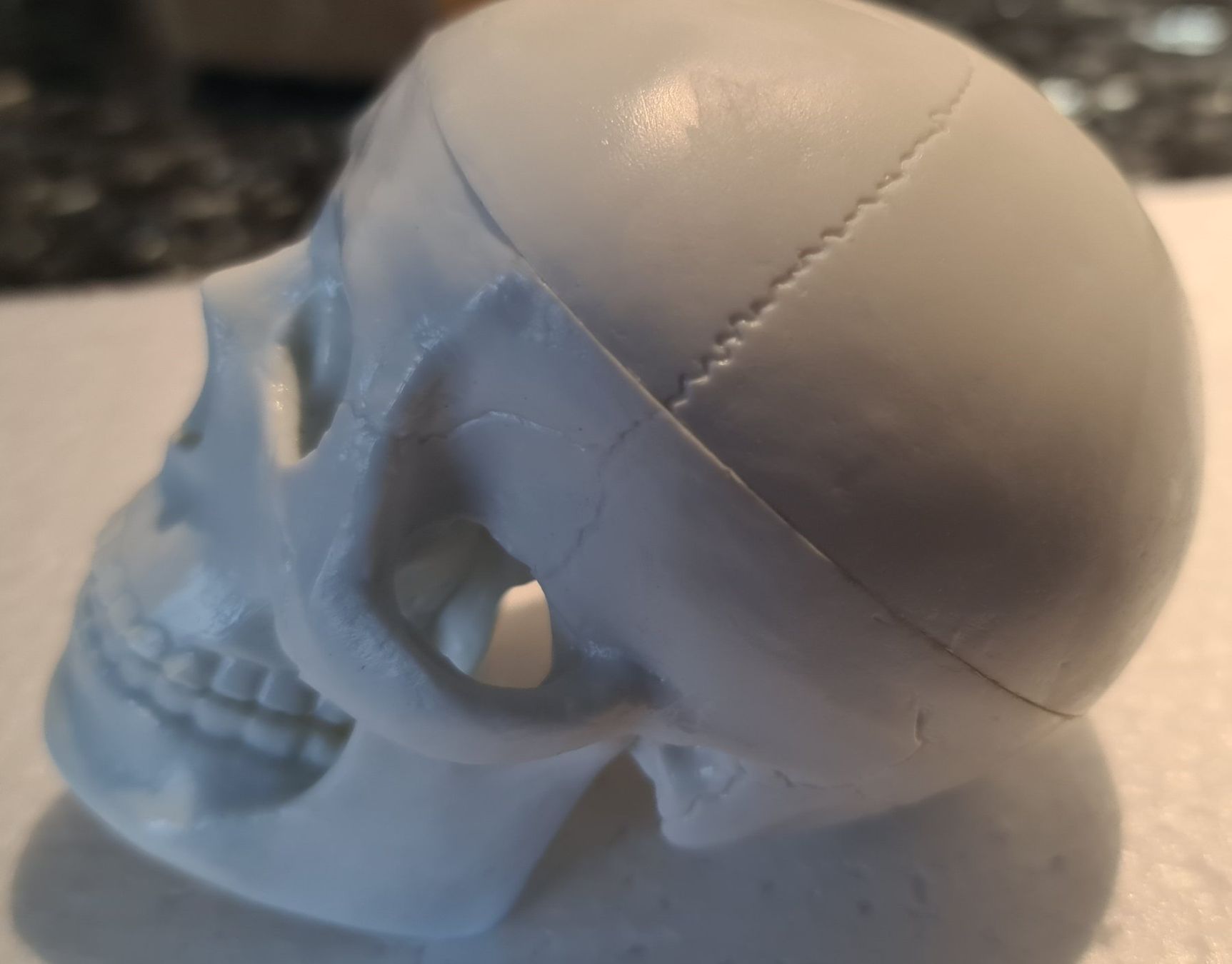 Kit di modellismo & Modellini statici: Schädel Menschlichen Anatomischen Modell – Nuovo e nell'imballaggio originale da Uerkheim venduto da Kaufoption 5