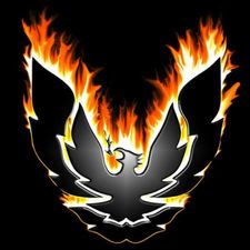 Profile image of FirebirdLady92