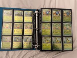 Ascended Heroes complete Master Set 1-217 ALL reverse, ex EN