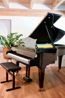 Flügel C.Bechstein B-203
