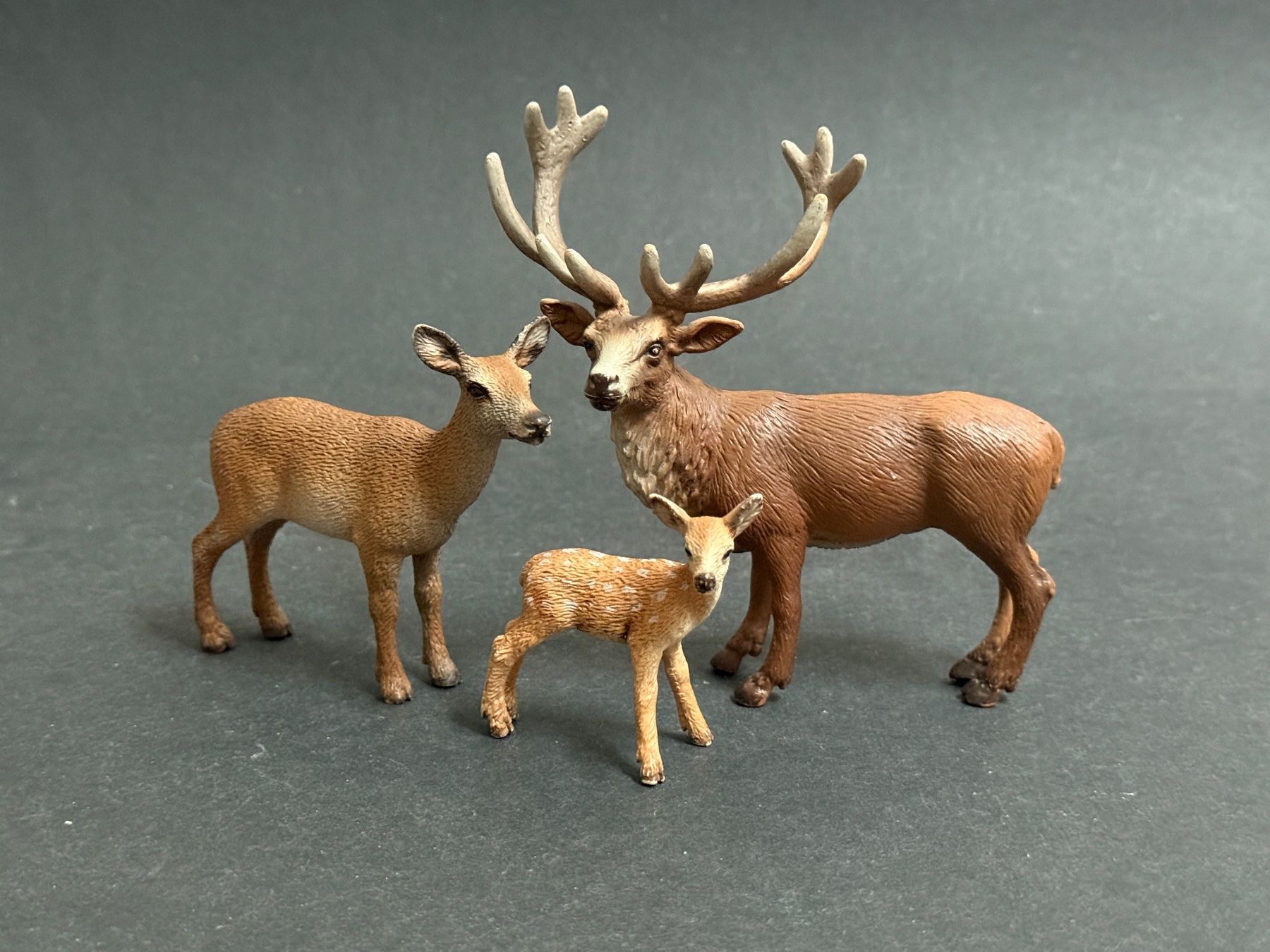 Schleich Figuren: Schleich Rothirsch Hirsch Kalb Kuh – Gebraucht aus Ennetbaden von mapa05