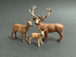 Schleich Rothirsch Hirsch Kalb Kuh