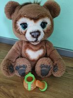 FurReal Cubby der neugierige Bär interaktiv gebraucht
