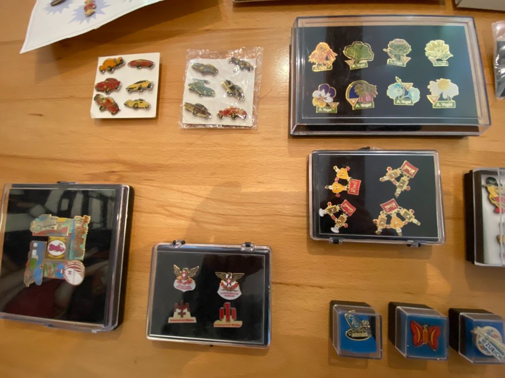 Spille & Fermagli: Pin-Sammlung – Nuovo (secondo la descrizione) da Dachsen venduto da zuihoba 5