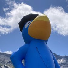 Profile image of Phisch5765