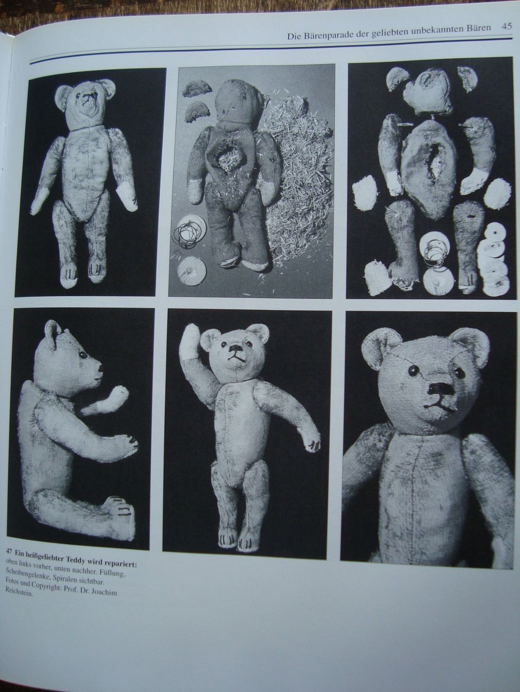 Libri: Teddybären – Nuovo (secondo la descrizione) da Fribourg venduto da ruswil007 1