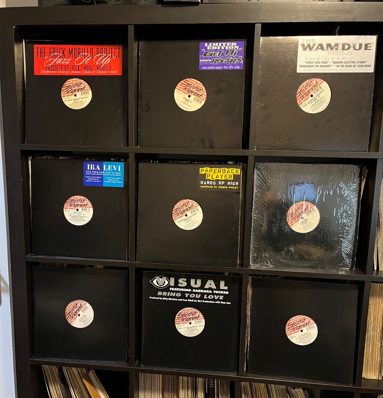 Dischi in vinile: 9 x Strictly Rhythm 12" – Usato da Frauenfeld venduto da Philz