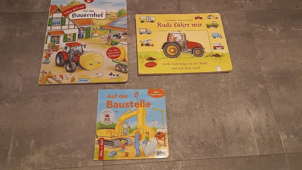 Libri: Wimmelbuch, Bilderbuch, Klappenbuch – Usato da Buttisholz venduto da Baendlifahrer 2