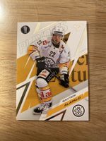 Sportzoo Playoff 25/26 Base HCL #83
