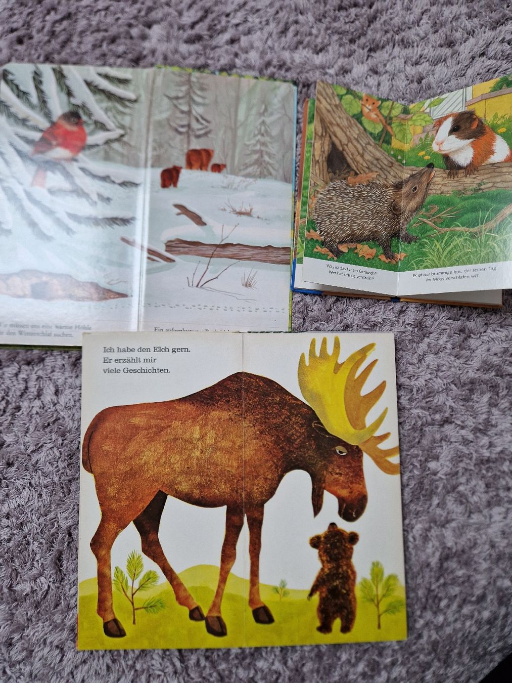 Livres: Ich bin das kleine Bärenkind – D'occasion à Henau par ale_bc8n 1