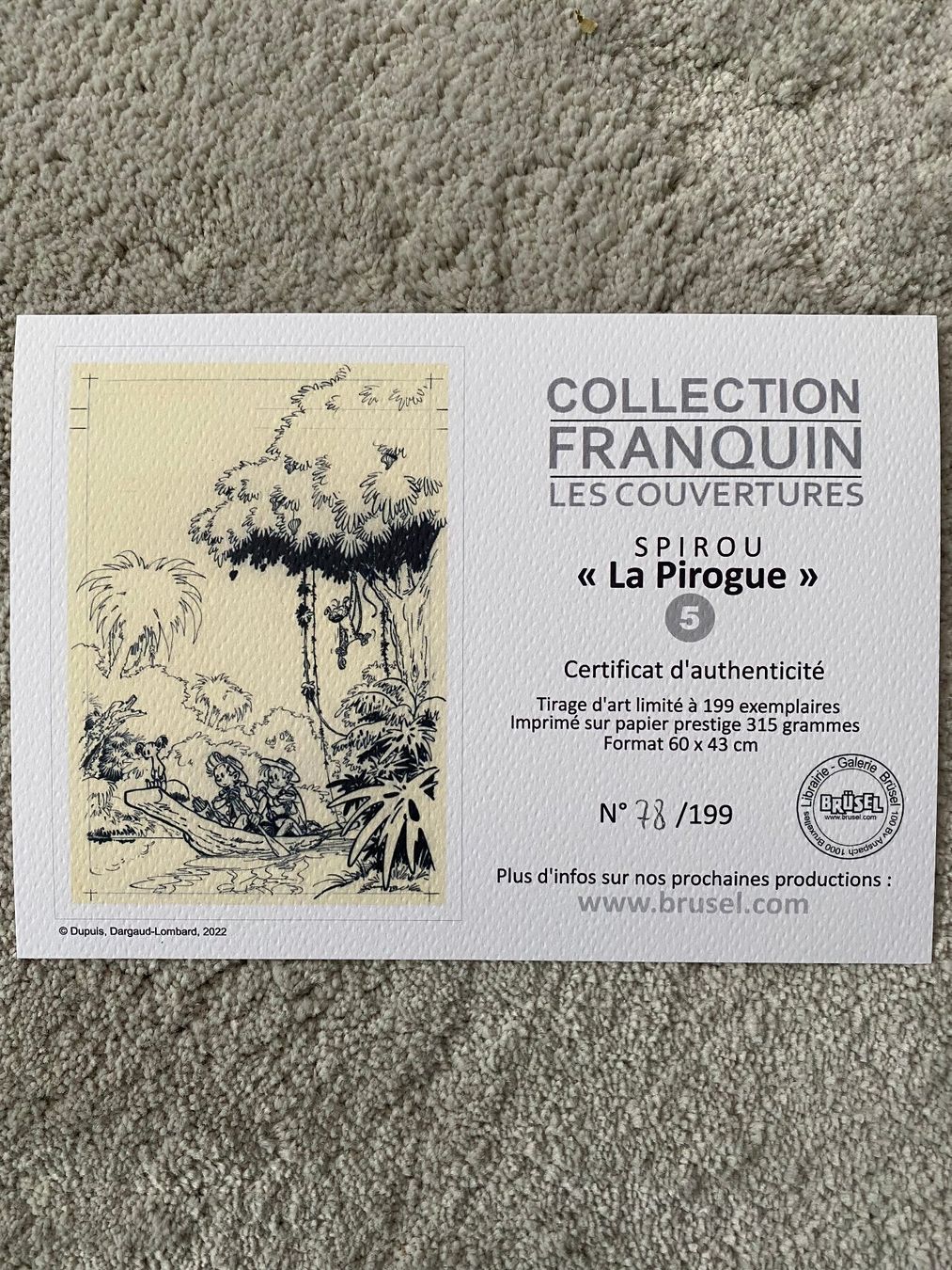 BD: Franquin Spirou "La Pirogue" – D'occasion à Langrickenbach par Myandrin 2