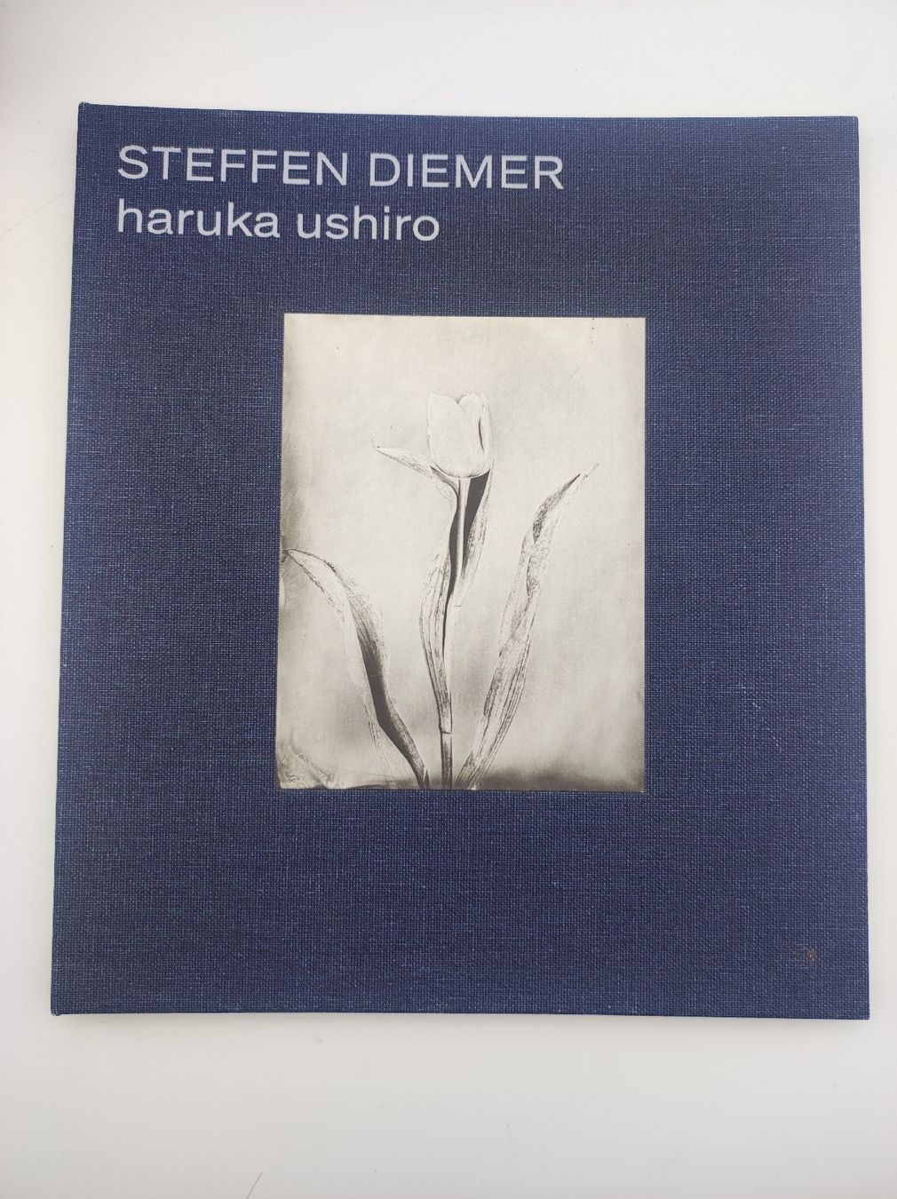 Libri: PHOTOBOOKS - STEFFEN DIEMER – Nuovo (secondo la descrizione) da Goldach venduto da Gaip 8