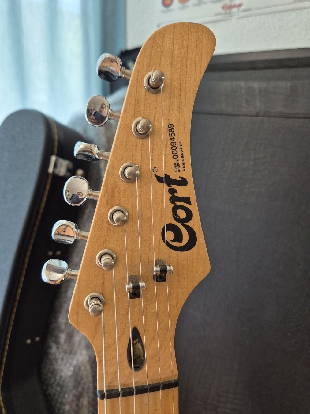 Cort Strumenti musicali: Cort E-Gitarre stratocaster Style  – Usato da Dielsdorf venduto da 7TheRockDoc9 9