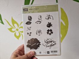 Stempelset Stampin' Up "Stippled Blossom",