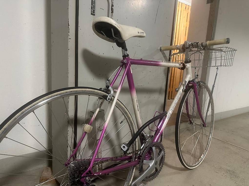 Biciclette: Custom Singlespeed / Fixie in Pink-Weiss – Usato da Langnau am Albis venduto da vietnam24 4