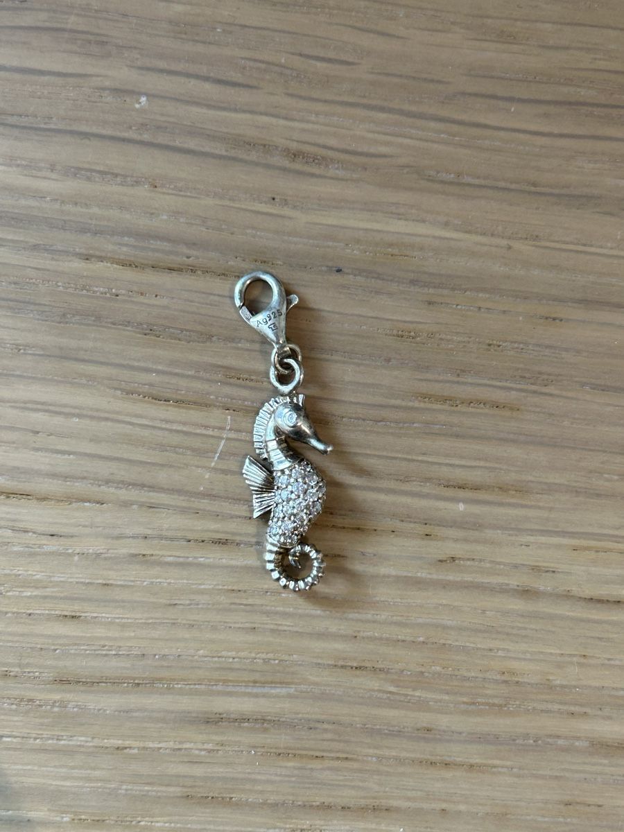 Thomas Sabo Anhänger: Thomas Sabo Anhänger/ Chram – Neu (gemäss Beschreibung) aus Guttannen von E1892