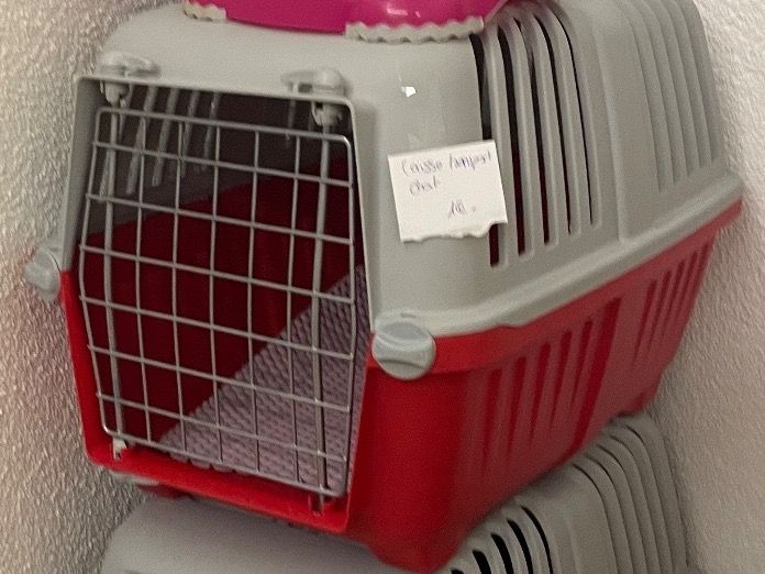 Caisse De Transport Pour Chat Taille Kaufen Auf Ricardo