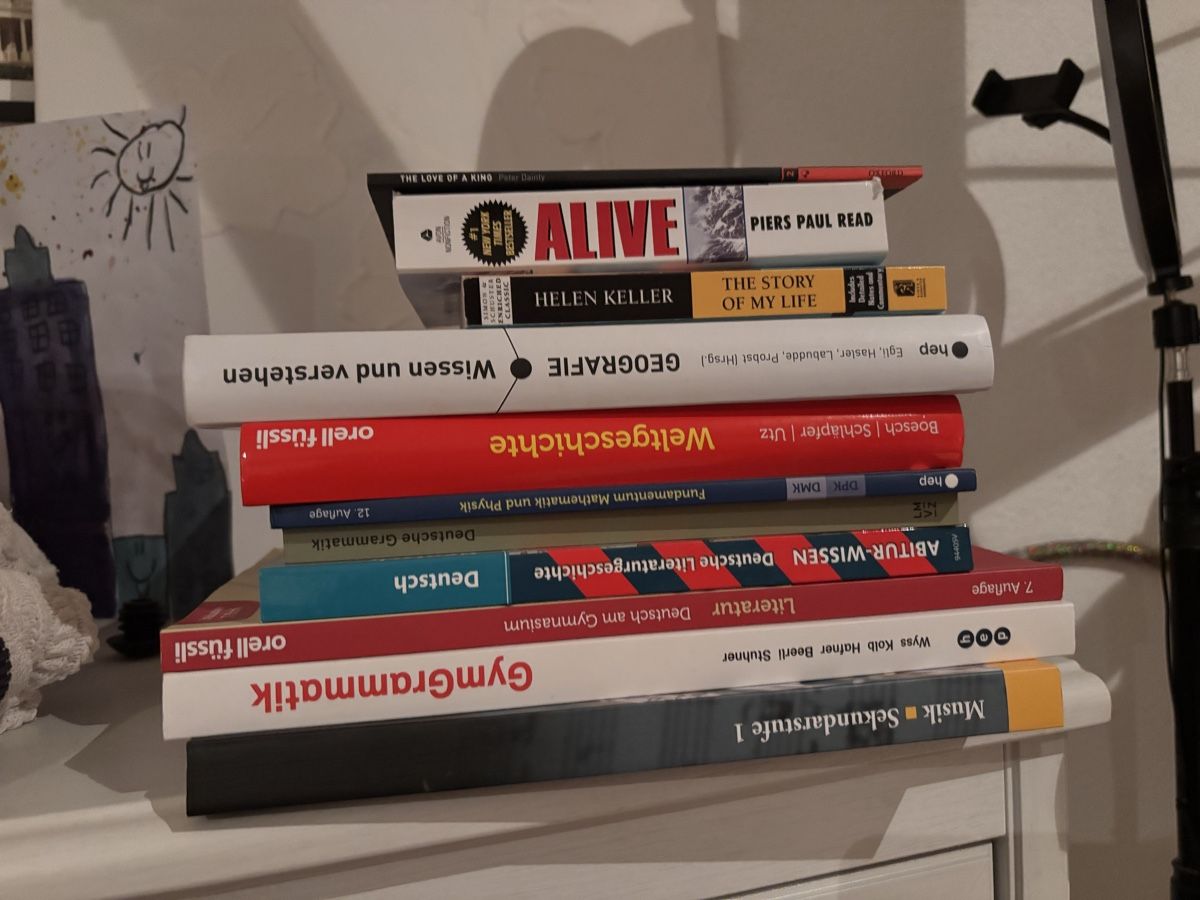 Libri: Schulbücher Pädagogische Schule  – Nuovo (secondo la descrizione) da Meierskappel venduto da Muck8