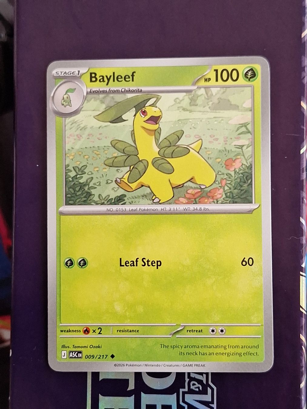 Pokémon Carte collezionabili: Bayleef - Pokemon Ascended Heroes – Usato da Altstätten SG venduto da GGsGameshop