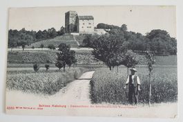 AK Ansichtskarte Schloss Habsburg Stamm-Schloss Kaiserhaus