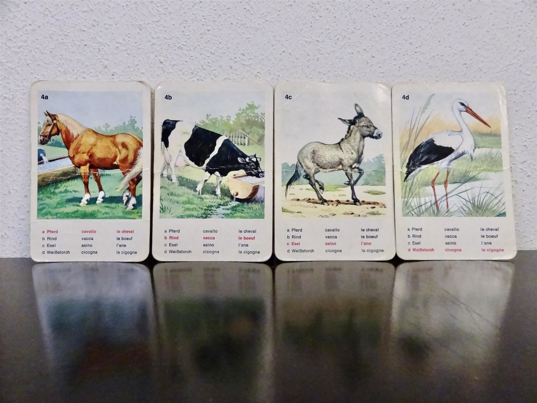 Ravensburger Spiele: schönes altes Quartett TIERWELT – Gebraucht aus Kerzers von wisaundso 6