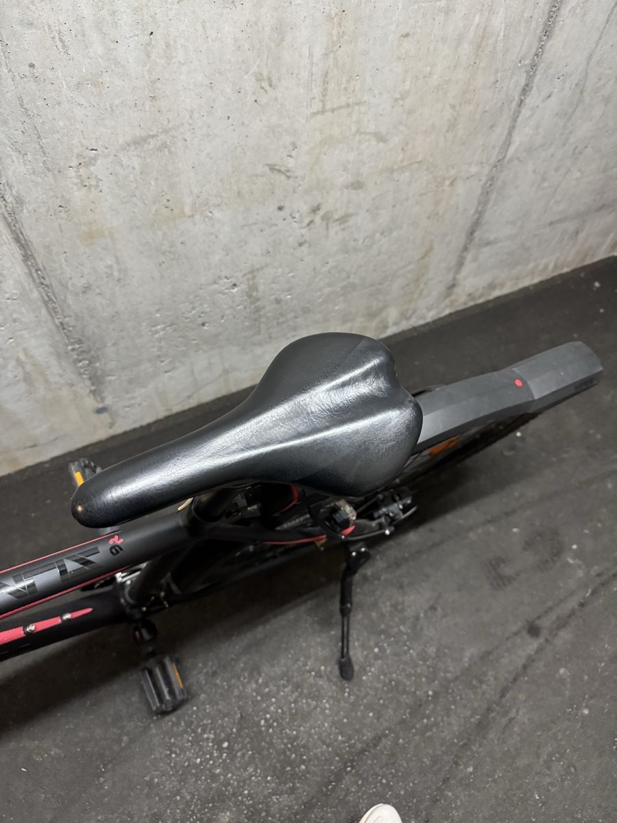 Biciclette: Velo – Usato da Schmerikon venduto da BiancaM03 6