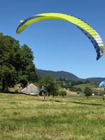 Gleitschirm Alpha 8 Einsteiger-Schirm A Lime