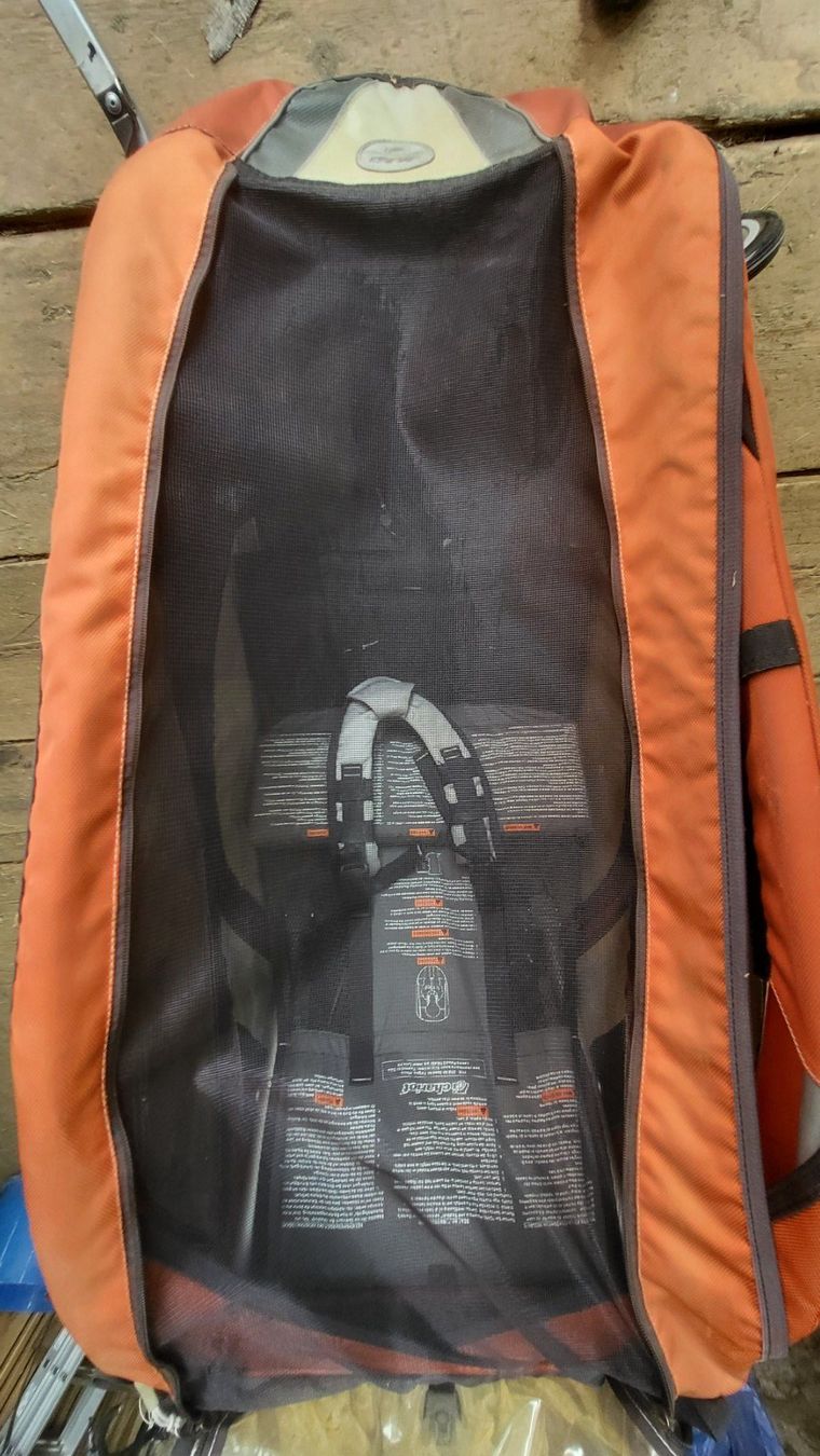 Thule Rimorchi: Thule Chariot 1 rot – Usato da Ardez venduto da pizcotschen 2