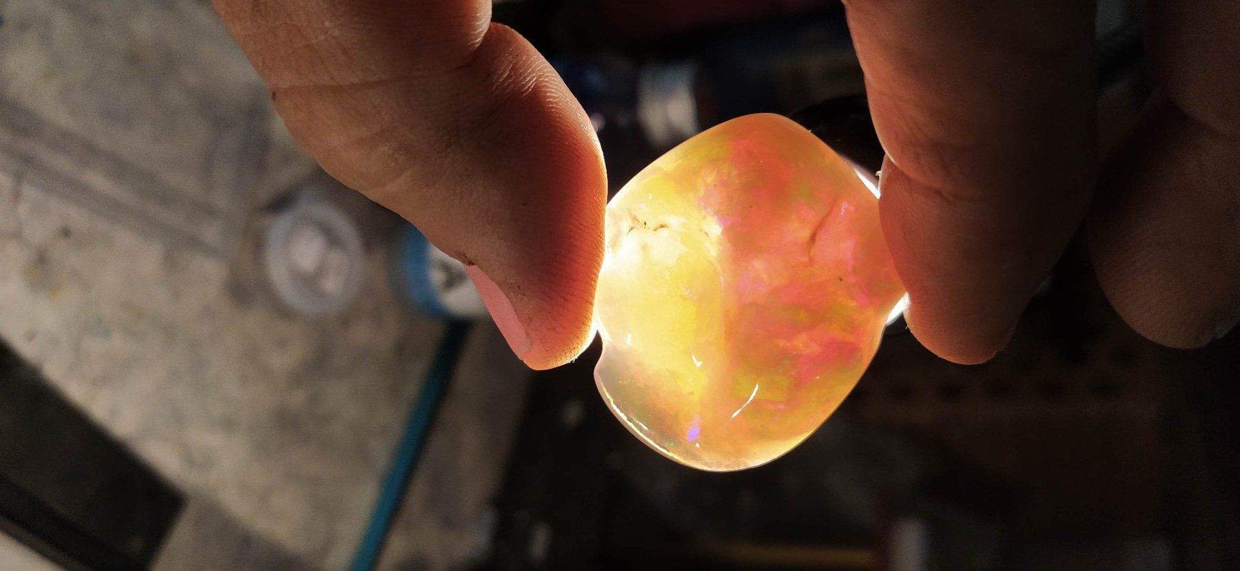 Fossili: Opalisierte Muschel – Nuovo (secondo la descrizione) da Dieterswil venduto da Opal66 8