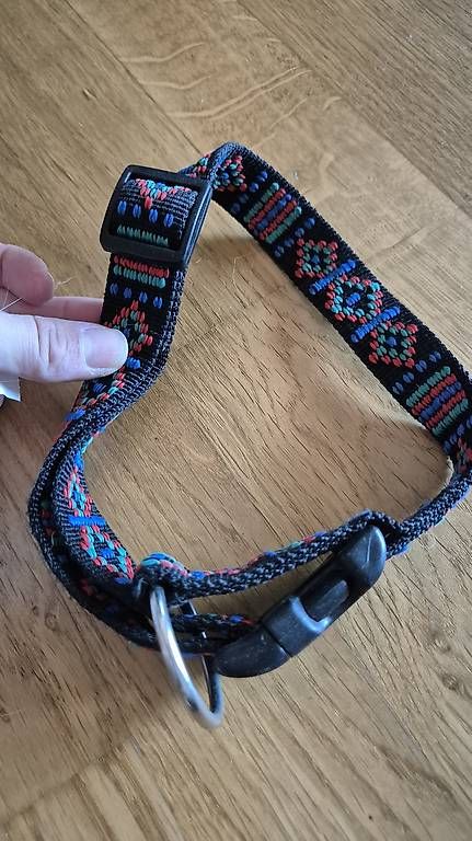 Guinzagli & Collari: Hundehalsband – Usato da Zuerich venduto da Manu_bu 1