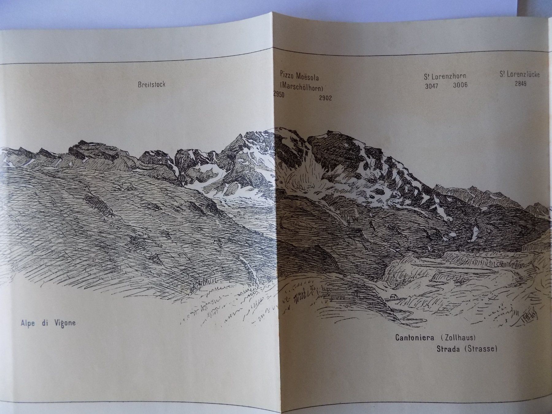 Incisioni: Panorama der Misoxer Alpen 1904 – Usato da Risch venduto da Antikfee 5