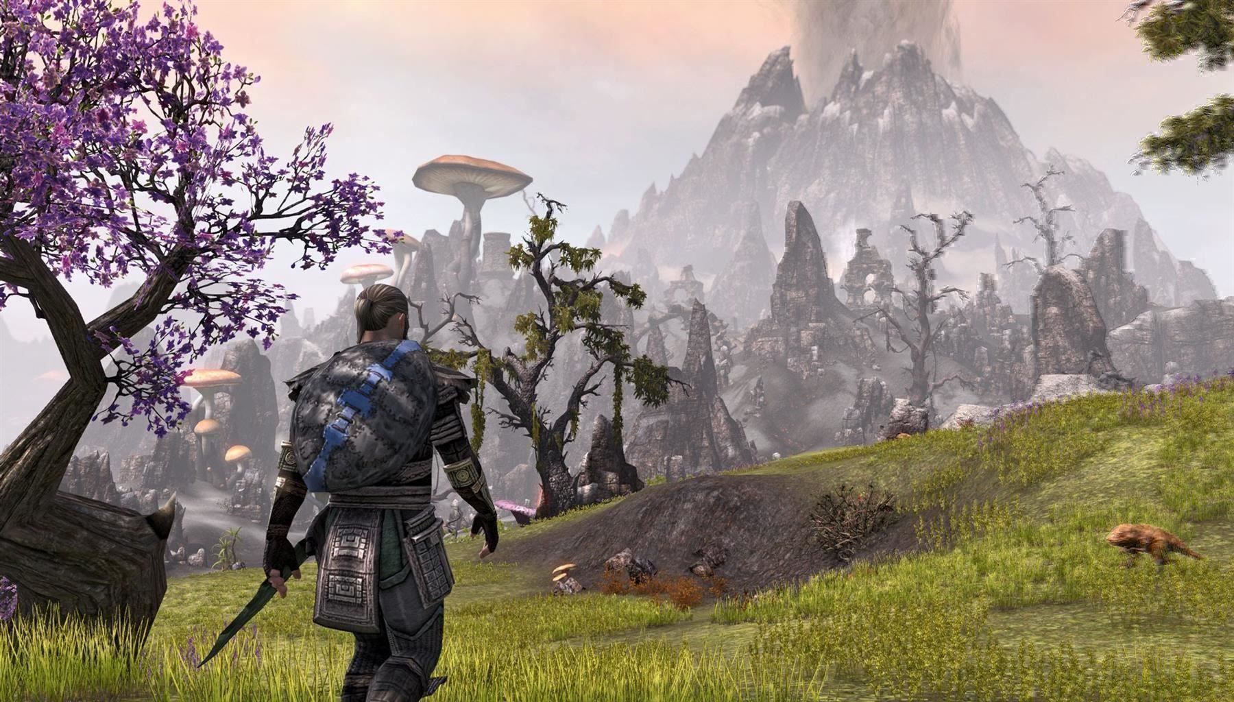 Microsoft Giochi: The Elder Scrolls Tamriel Unlimited Xb One – Usato da Schüpfheim venduto da Games_Spielkonsolen