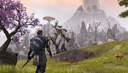 🥷The Elder Scrolls Tamriel Unlimited Xb One
