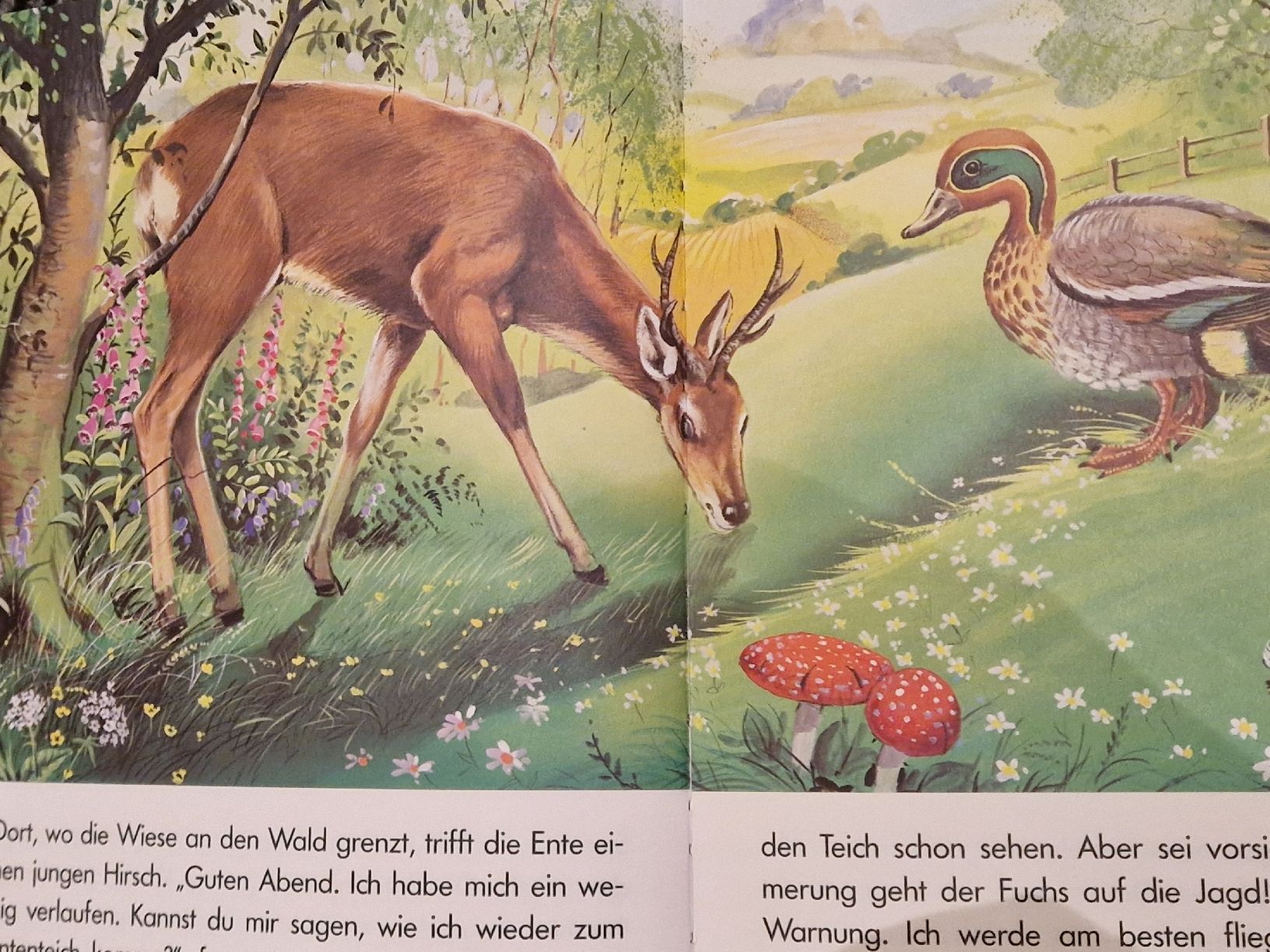 Bücher: wunderschöne Kinderbücher, ab 3Fr. pro Buch – Gebraucht aus Henau von ale_bc8n 1