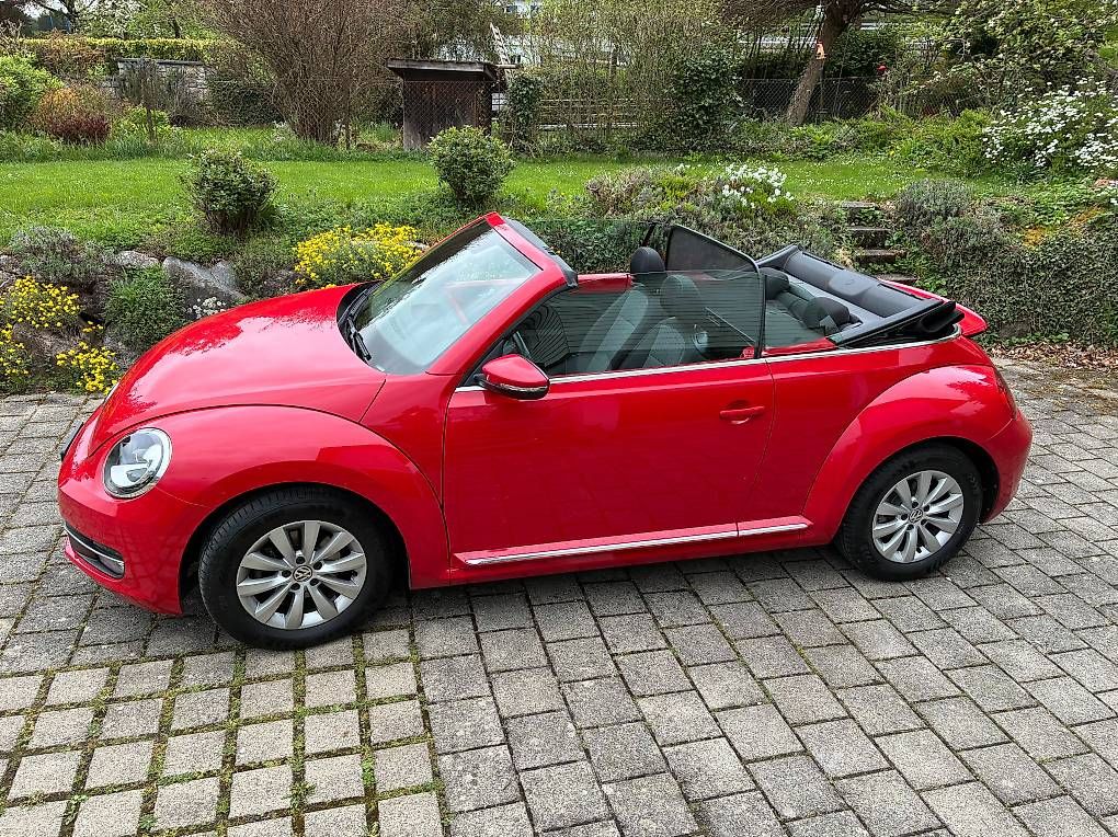 Automobili: Beetle Cabriolet – Usato da Freienstein venduto da Straessler