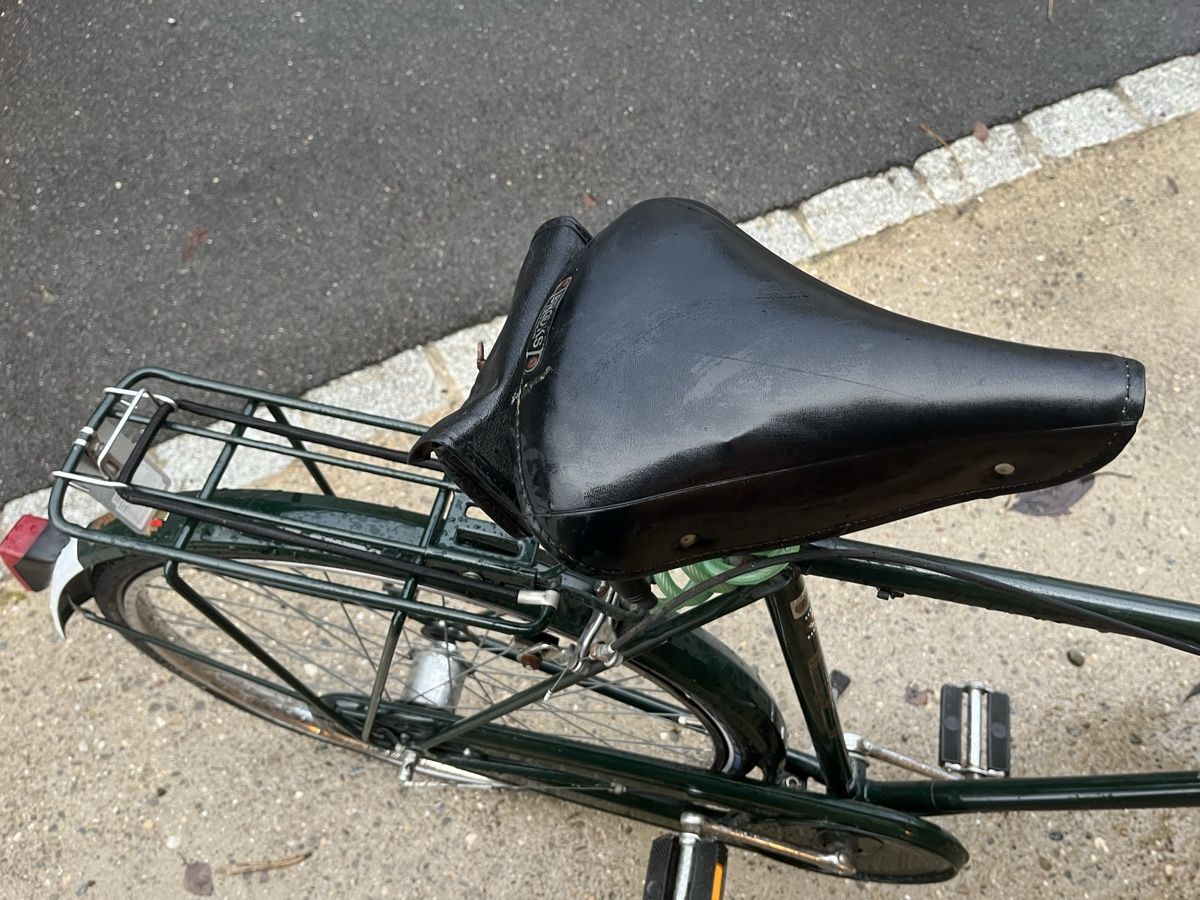 Raleigh Biciclette: Raleigh retro Fahrrad – Usato da Muttenz venduto da Agyla 3