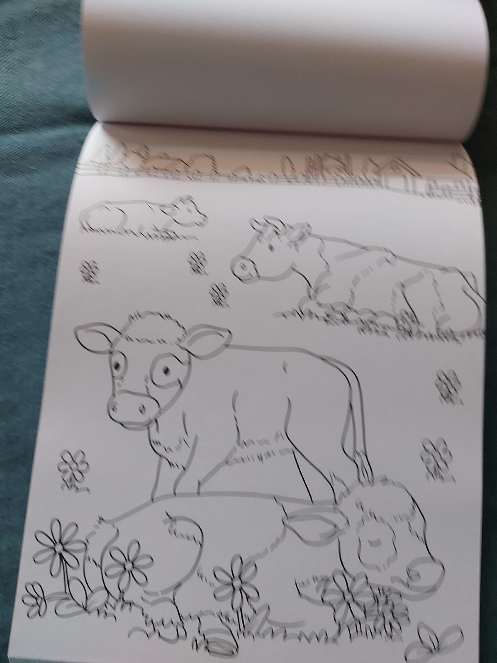 Libri: bloc à colorier – Usato da VUADENS venduto da momy 2