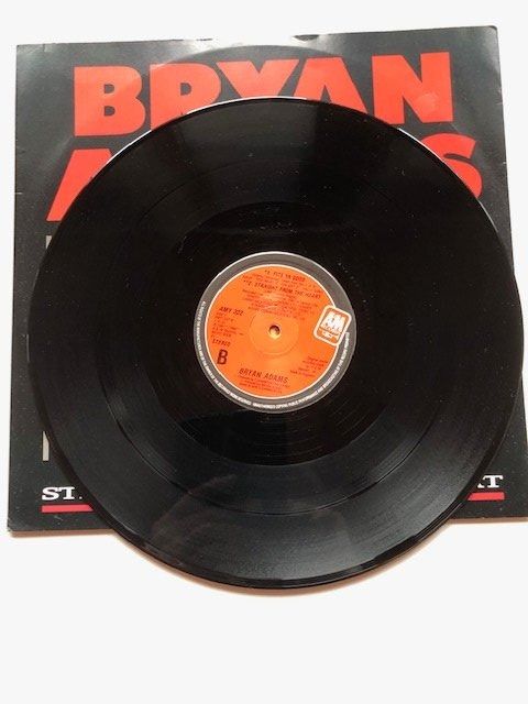 Dischi in vinile: Bryan Adams – Usato da Aarwangen venduto da Jukebox3 4