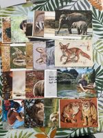 Ansichtskarten Tiere Fuchs Elefant Bär Fuchs 18 Stk NEU