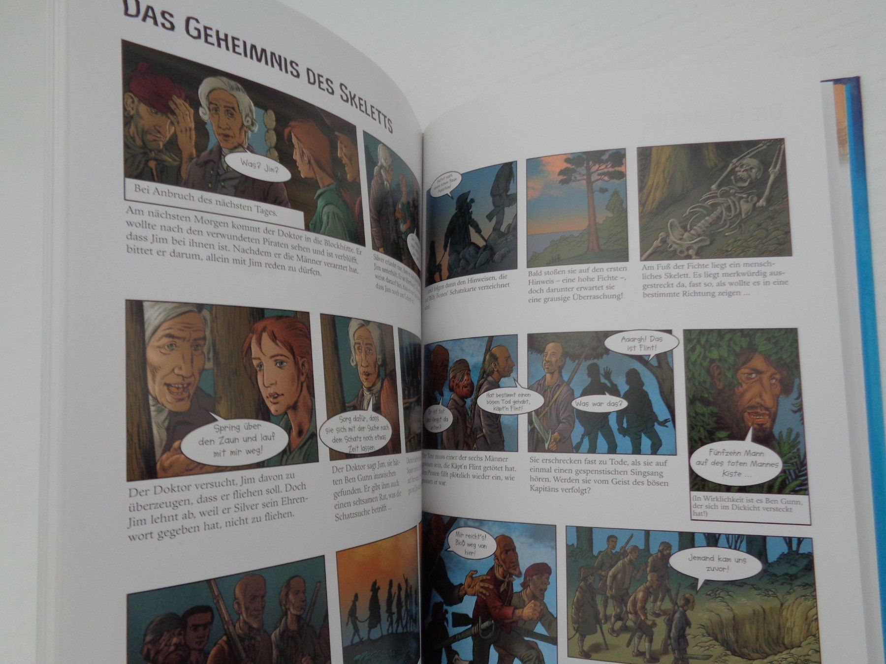 Libri: Die Schatzinsel - Robert Louis Stevenson - Illustriert – Usato da Chur venduto da Oregano1 2