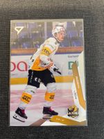 Sportzoo Robin Louis HC Ajoie