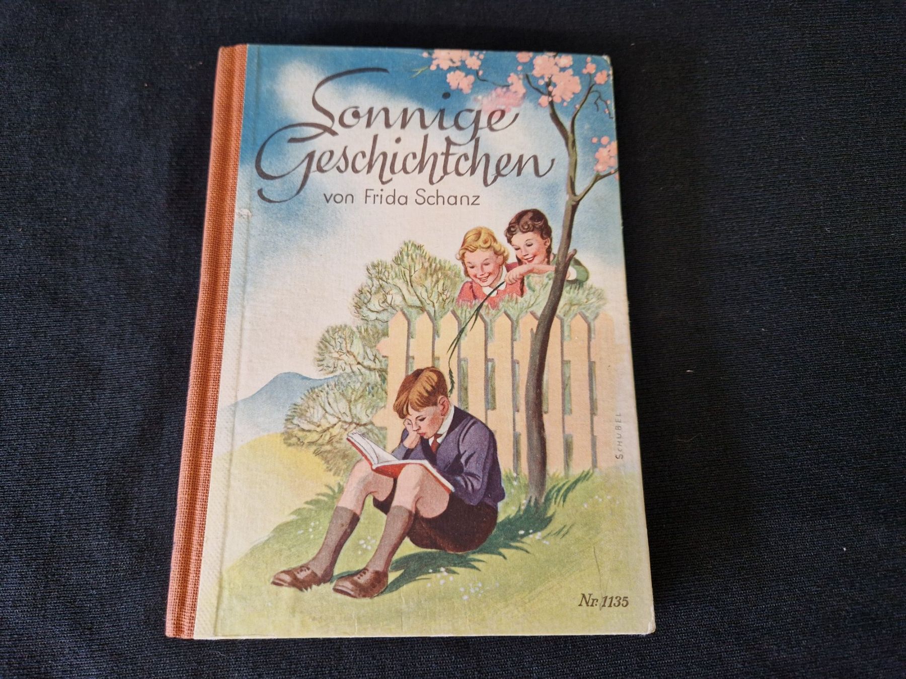 Libri: FRIDA SCHANZ "Sonnige Geschichtchen" – Usato da Muhen venduto da Restwert_Muhen