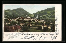 Lichtensteig, Generalansicht der Stadt m