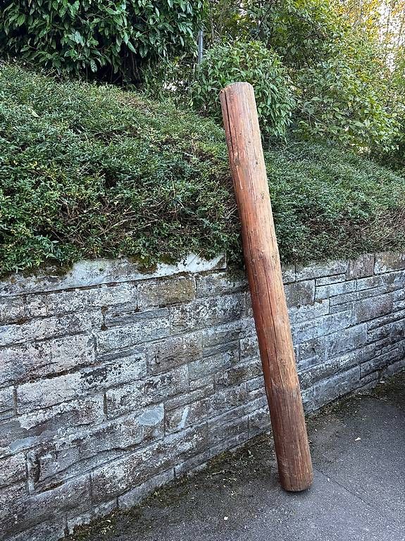 Articoli in legno: Rundholz/ Konstruktionsholz – Nuovo e nell'imballaggio originale da Urdorf venduto da mapet01 1