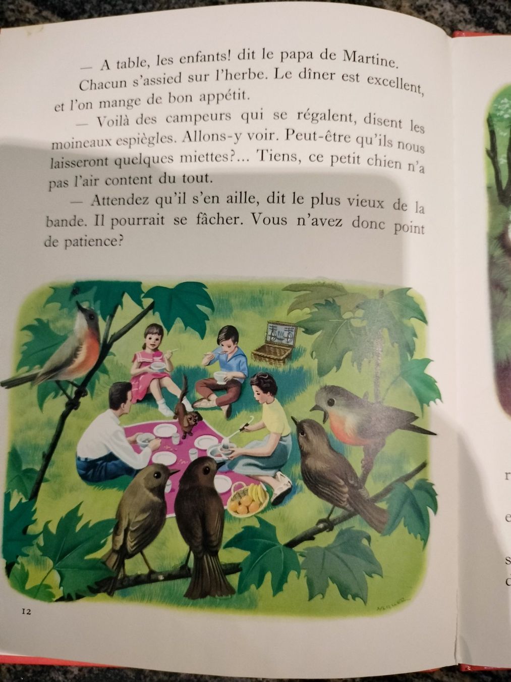 Libri: Martine fait du camping – Usato da Cortaillod venduto da rozinna 4