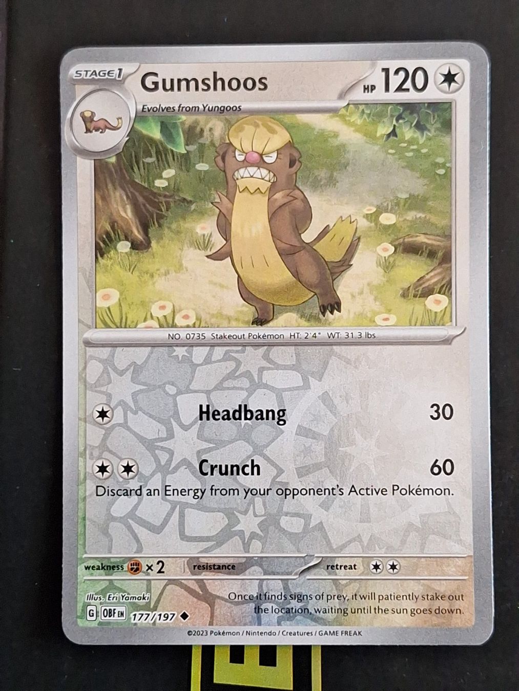 Pokémon Carte collezionabili: Gumshoos - Pokemon Reverse Holo Obsidian Flames – Usato da Altstätten SG venduto da GGsGameshop