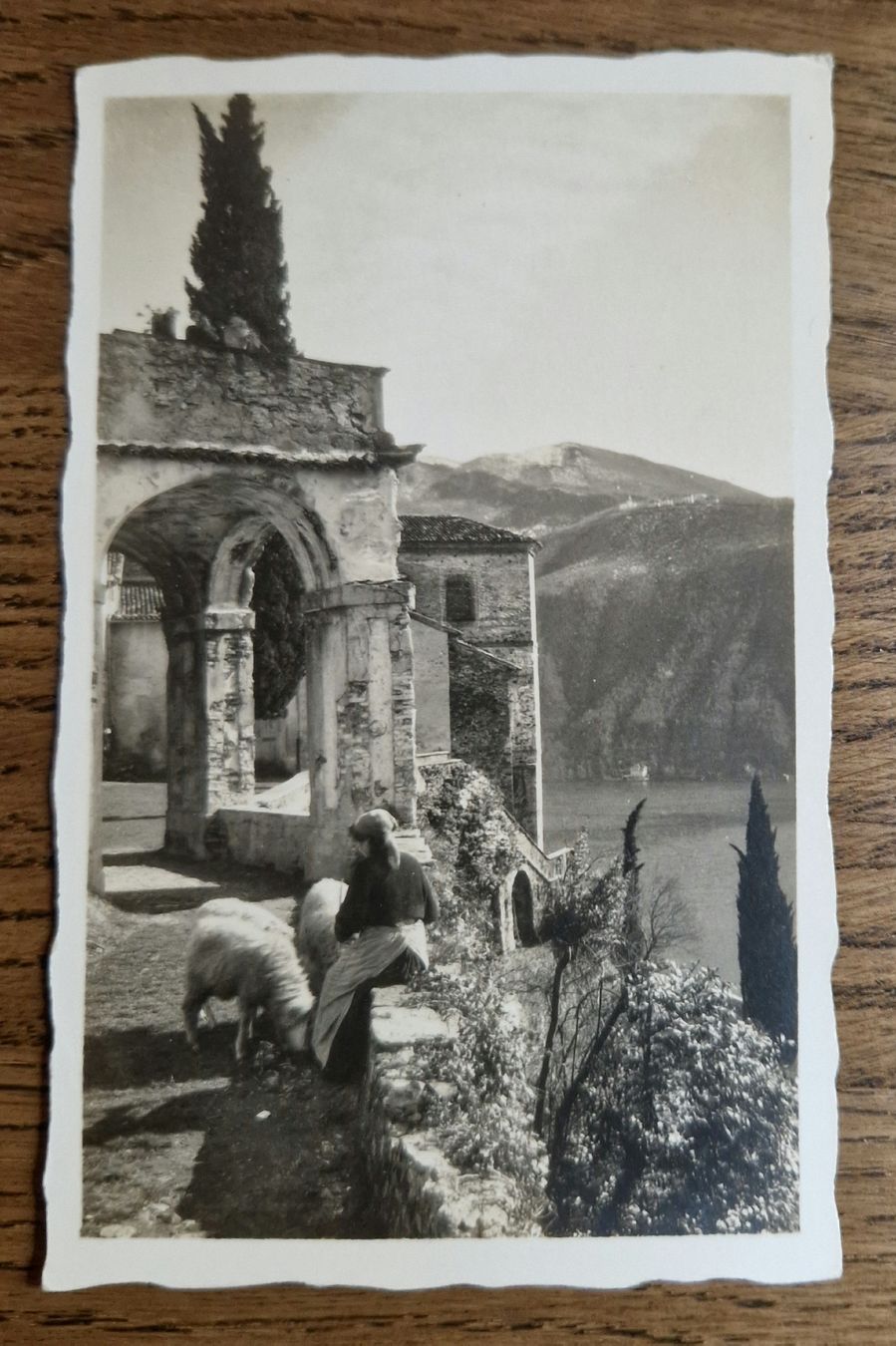 Cartoline postali: Morcote, Frau mit Schafen – Usato da Ebikon venduto da Donar50