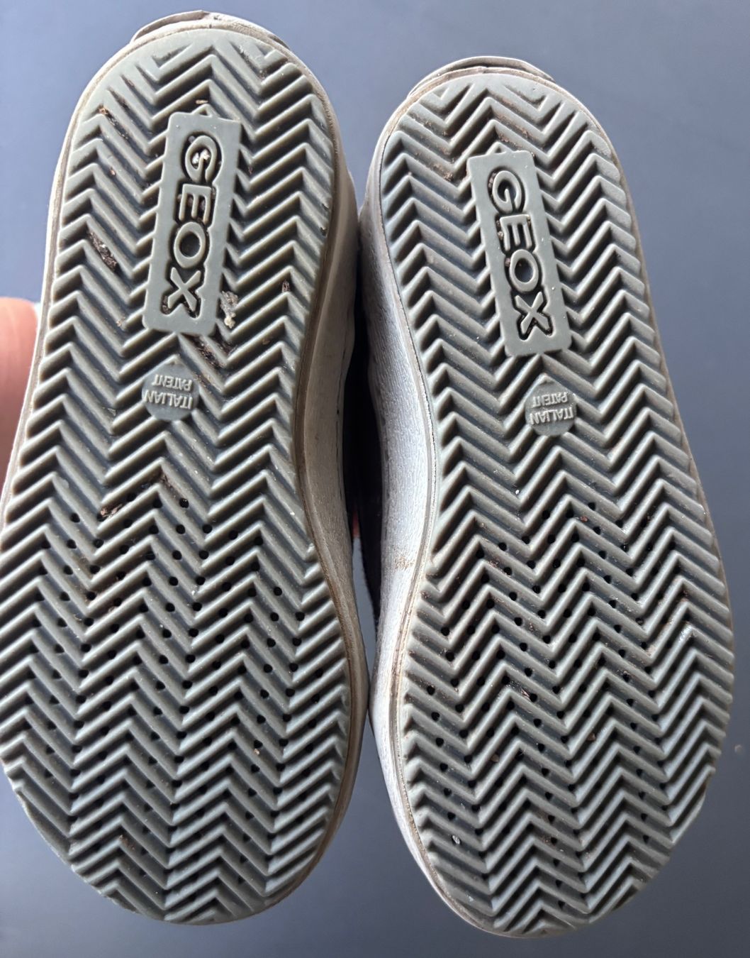 Geox Scarpe per ragazze: Geox Knöchelschuhe, Gr. 27 – Usato da Brugg AG venduto da tsannen 2