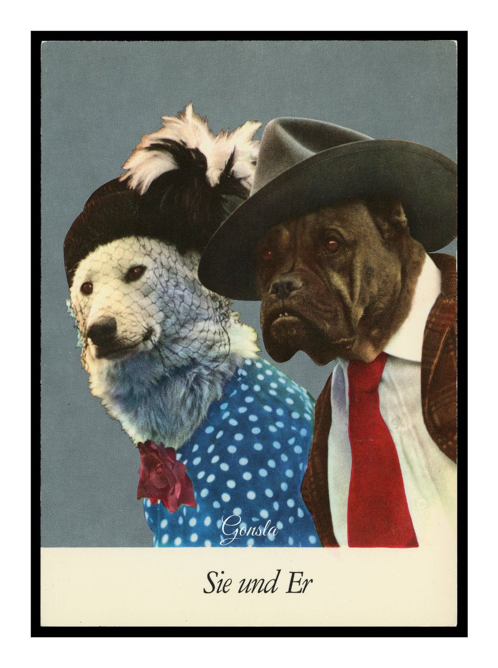 Cartoline postali: SIE und Er "Hunde Drehmoment" – Usato da Onex venduto da Lagorel01
