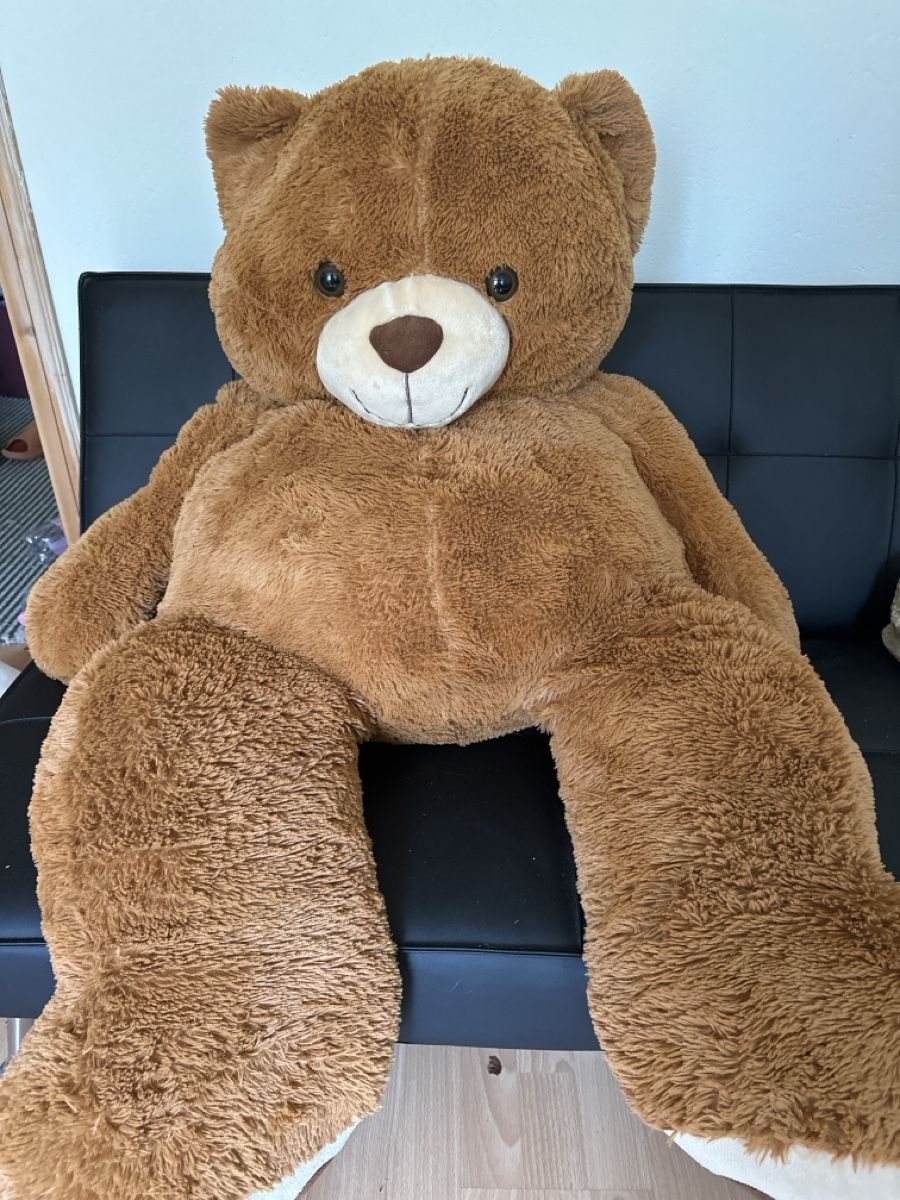 Spielzeuge: Ours en peluche brun grand taille  – Gebraucht aus Lausanne von sam_hp5y